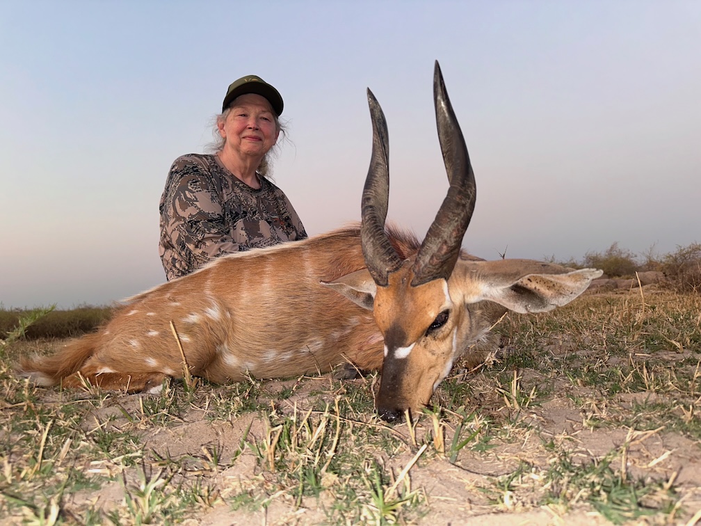 Beverly Valdez Chobe Bushbuck.jpeg